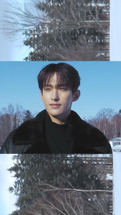 세븐틴 팬이 찍은 순간