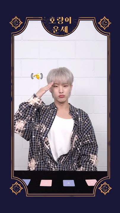 세븐틴 팬이 찍은 순간