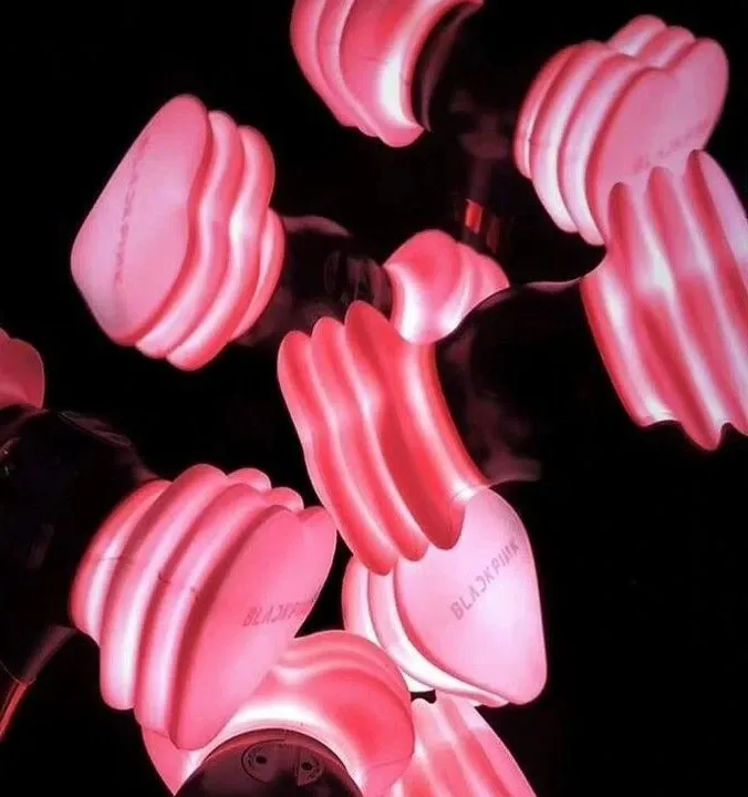 BLACKPINK의 최신 사진