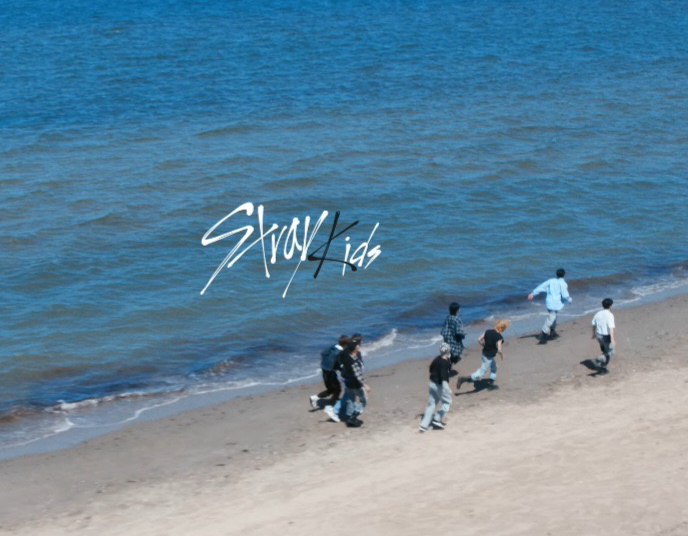 A moment captured by Stray Kids's fan