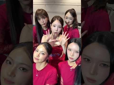 TWICE 최근 활동샷