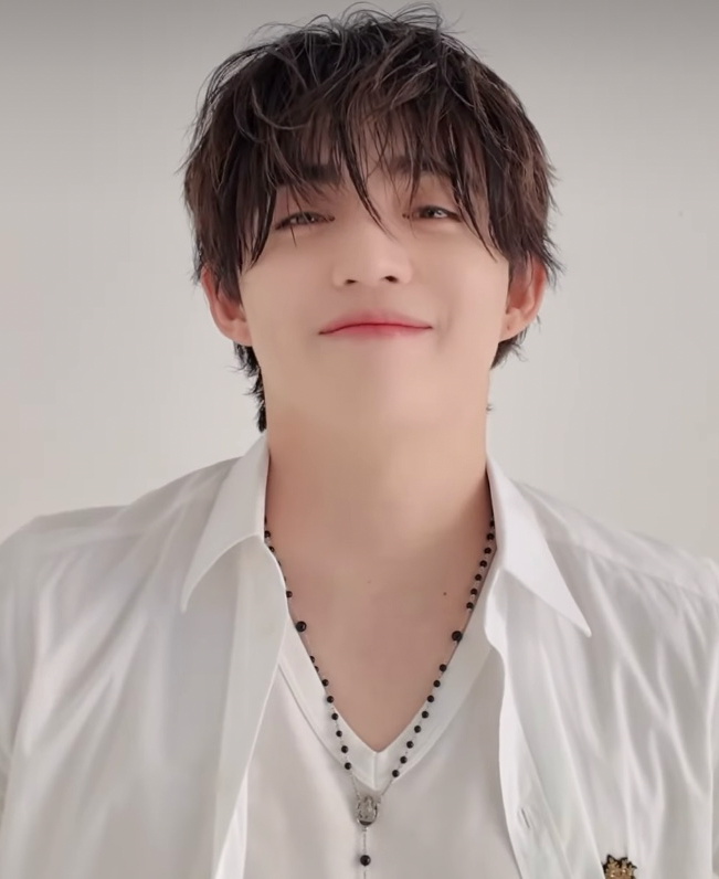 A moment captured by S.Coups (SEVENTEEN)'s fan