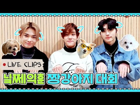 ENHYPEN 팬이 찍은 순간