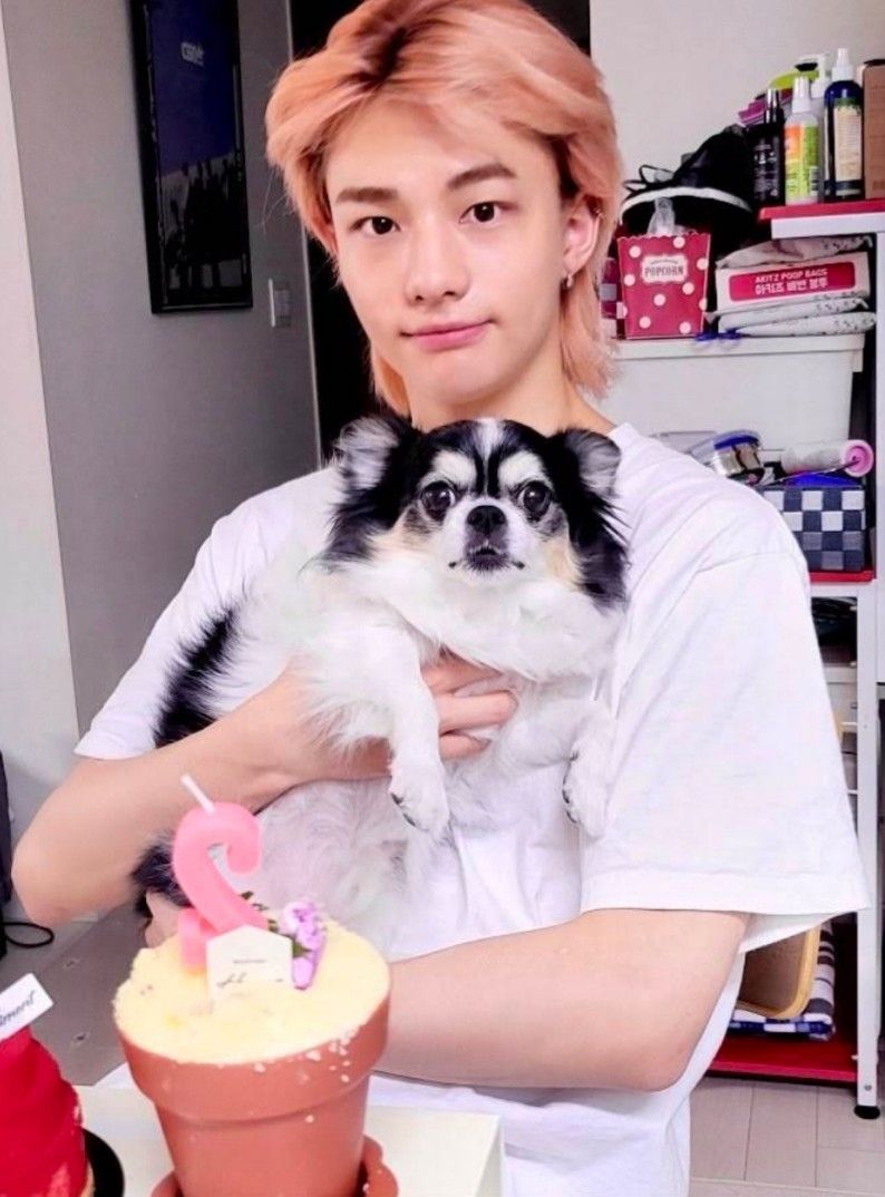 A moment captured by Stray Kids's fan