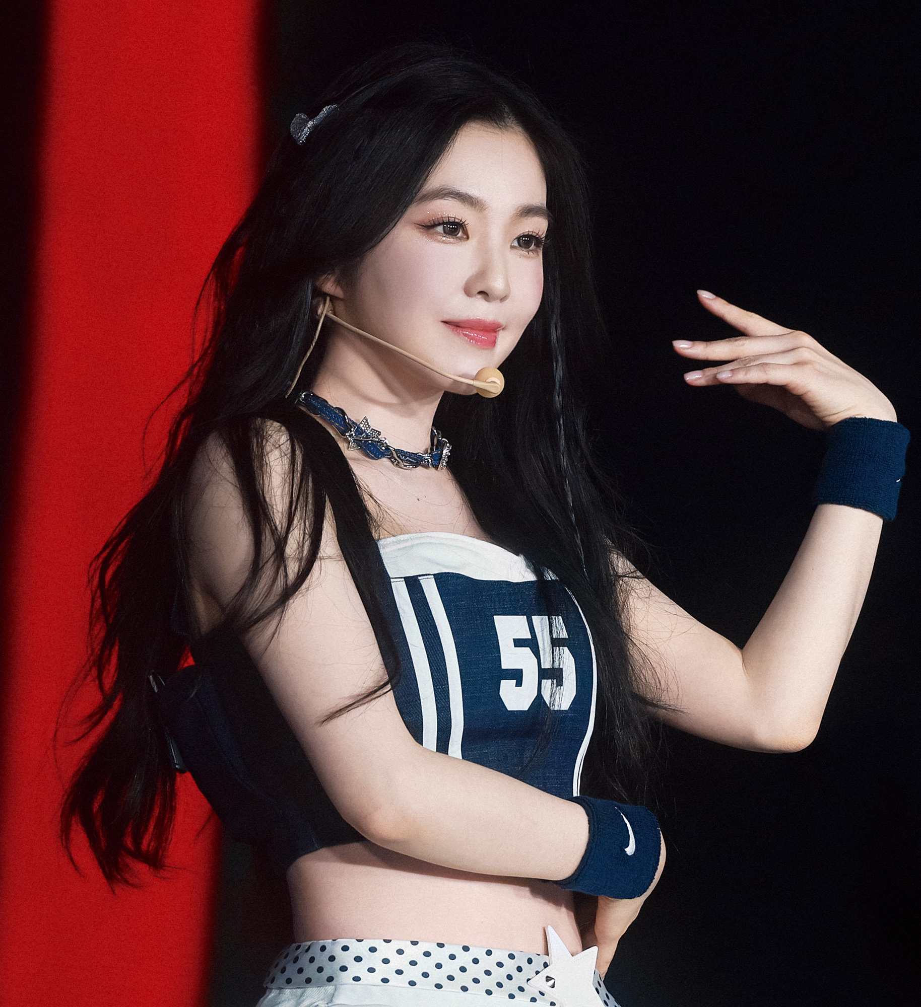 아이린 (레드벨벳) 팬이 찍은 순간