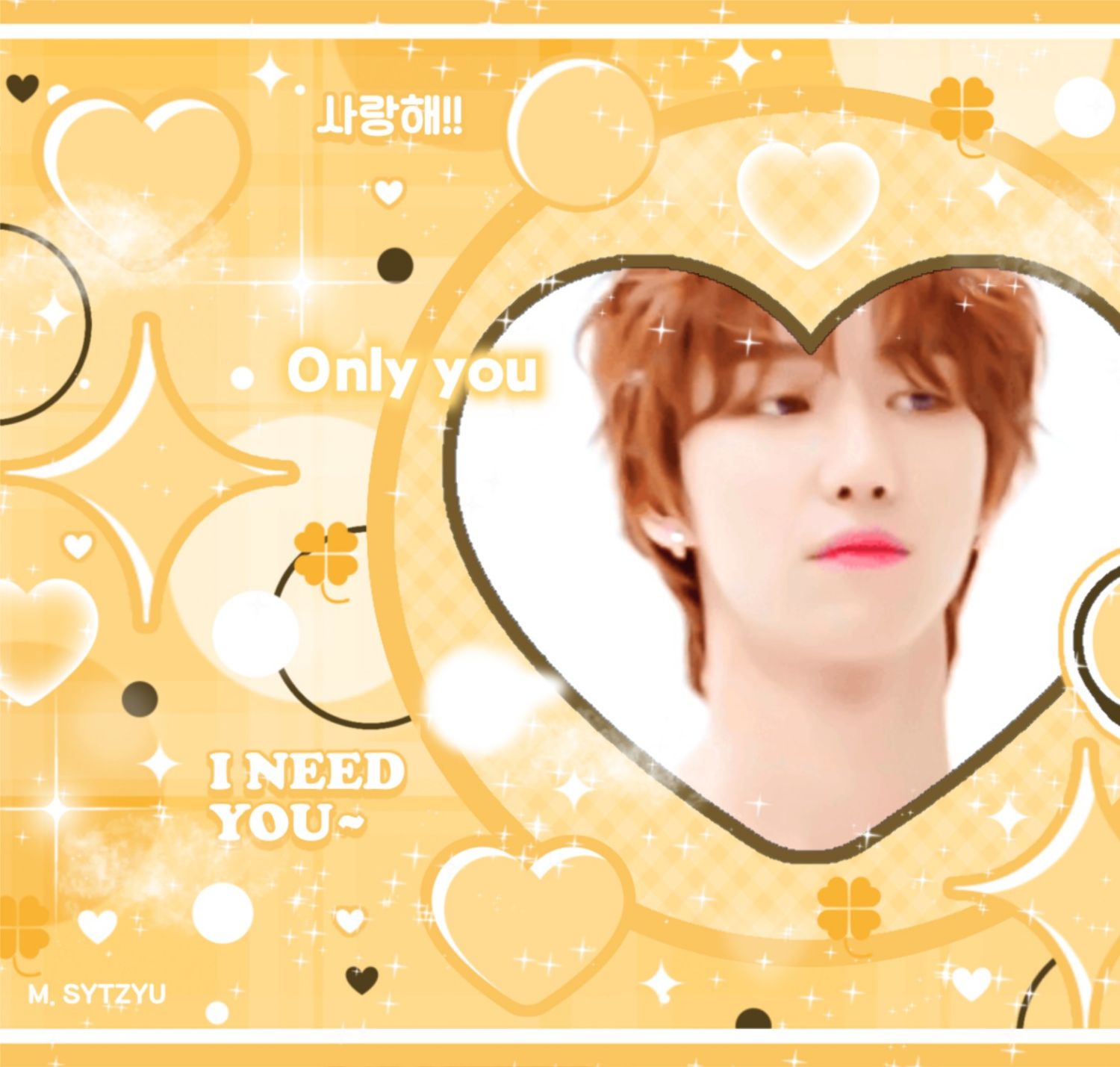 세븐틴 팬이 찍은 순간