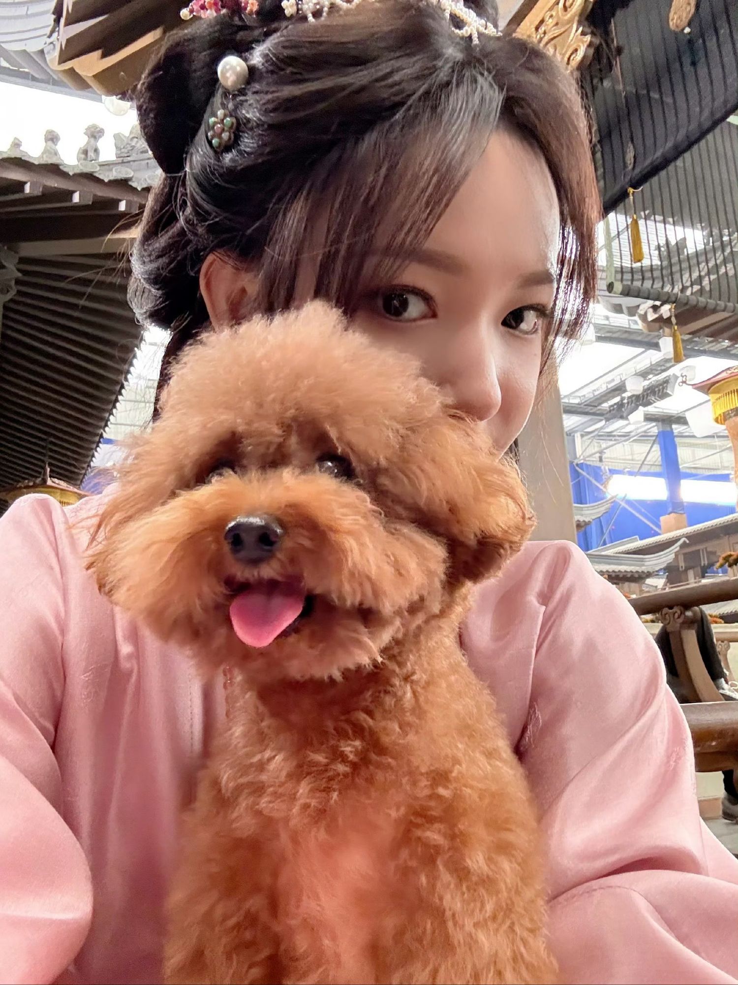 Latest photo of Cheng Xiao