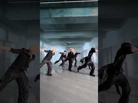 투모로우바이투게더 팬이 찍은 순간