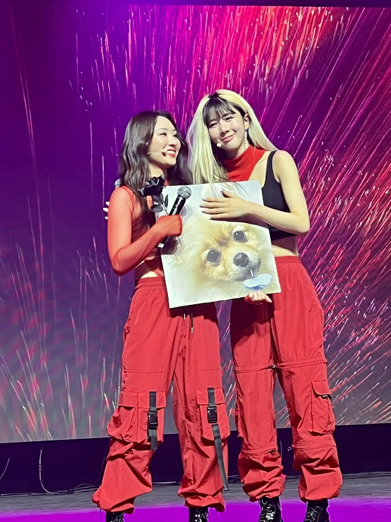 Foto aktivitas terbaru DREAMCATCHER