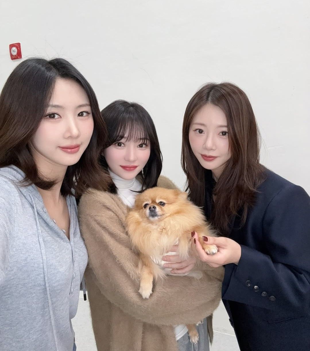 드림캐쳐 팬이 찍은 순간