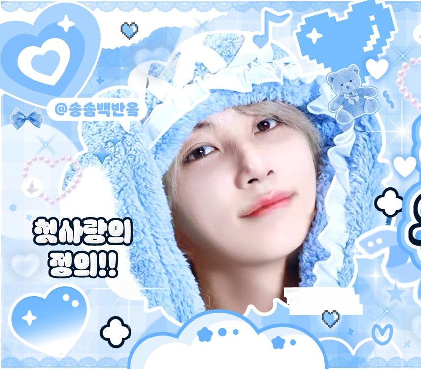 세븐틴 팬이 찍은 순간