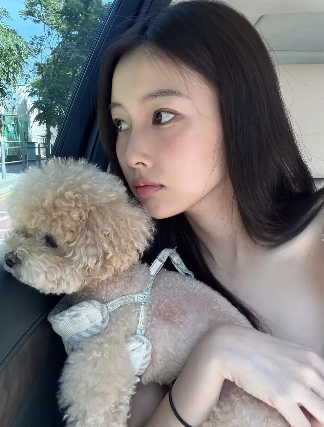 Recent activity shot of Kang Hyewon
