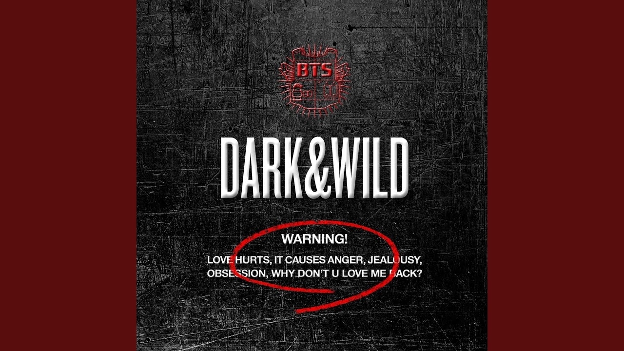 Momen yang diabadikan oleh penggemar BTS