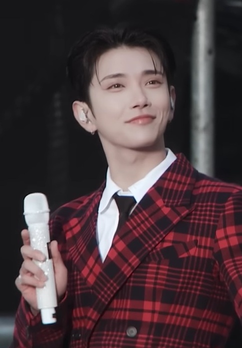 A moment captured by Joshua (SEVENTEEN)'s fan