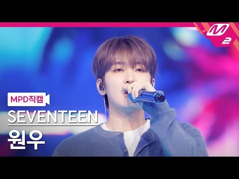 Recent activity shot of Wonwoo (SEVENTEEN)