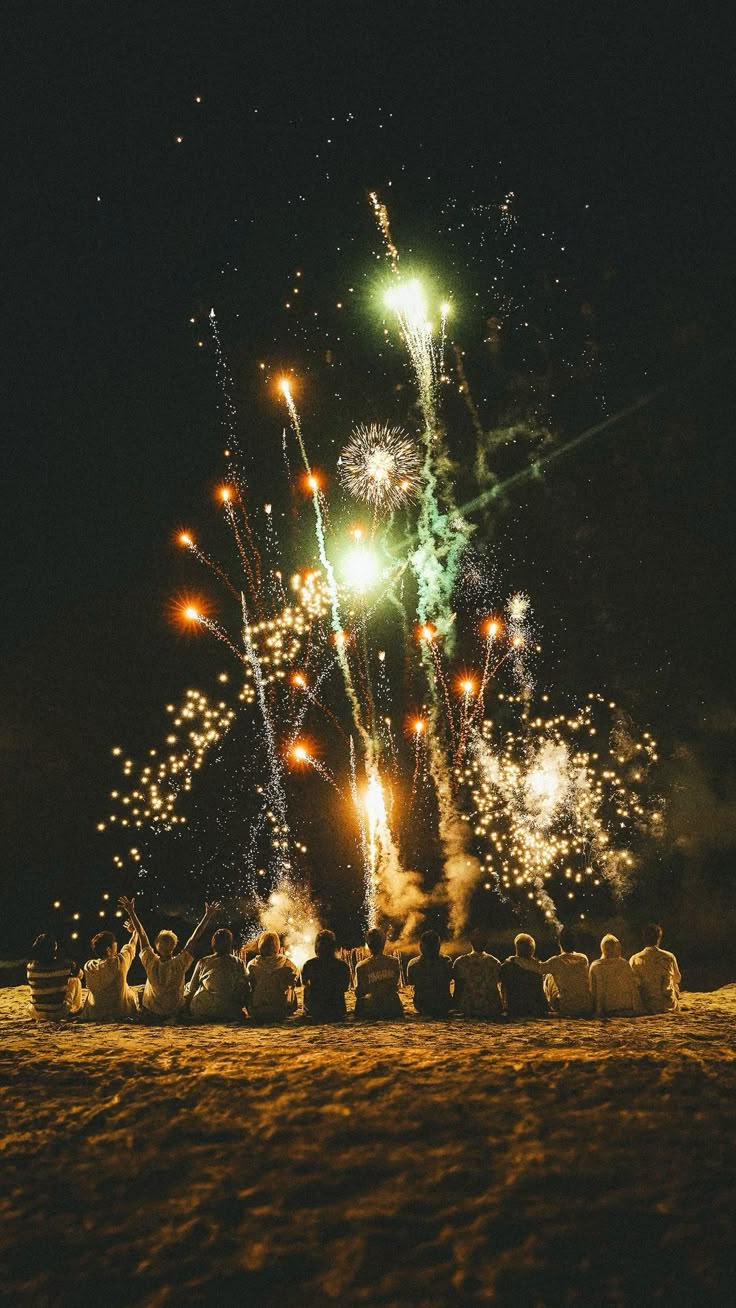 세븐틴 팬이 찍은 순간