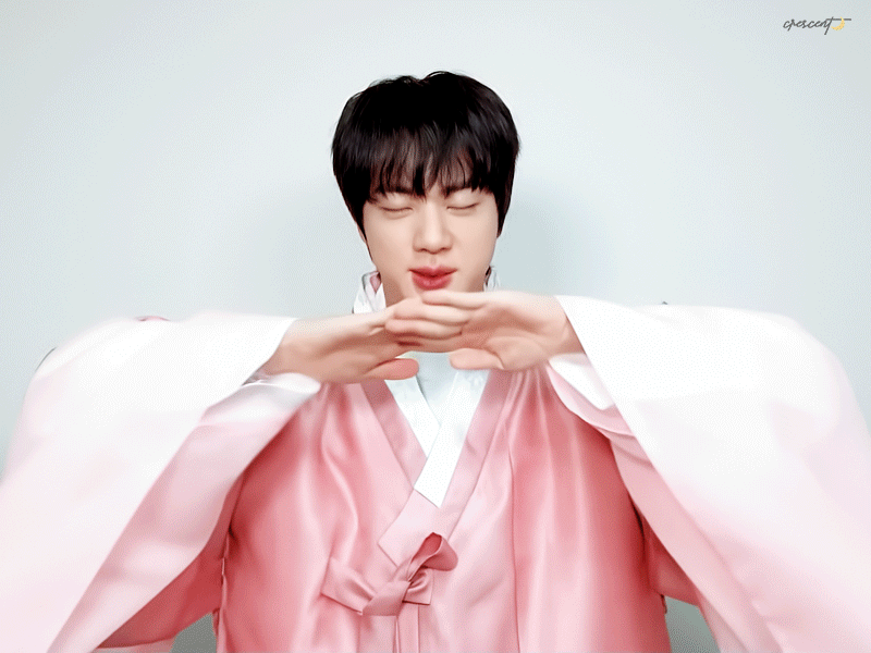 A moment captured by Jin (BTS)'s fan