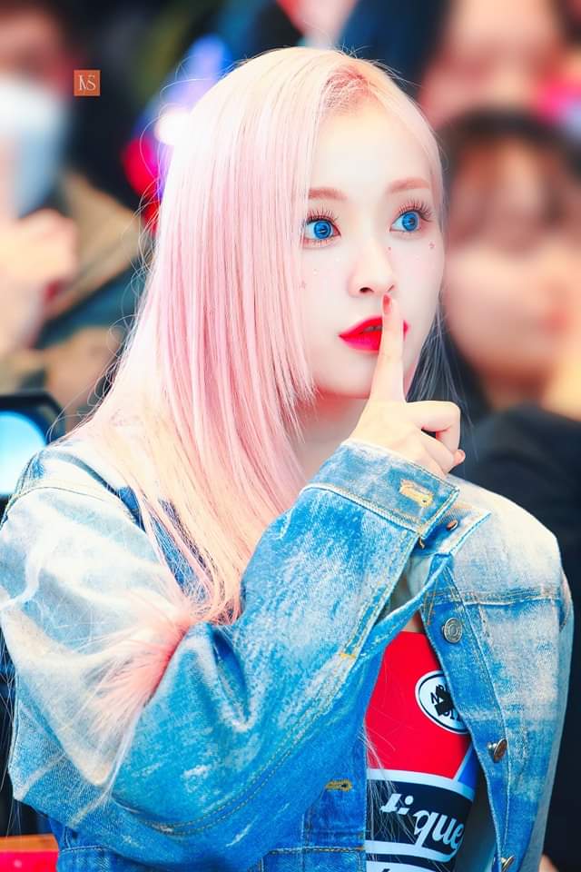 Recent activity shot of Gahyun (DREAMCATCHER)