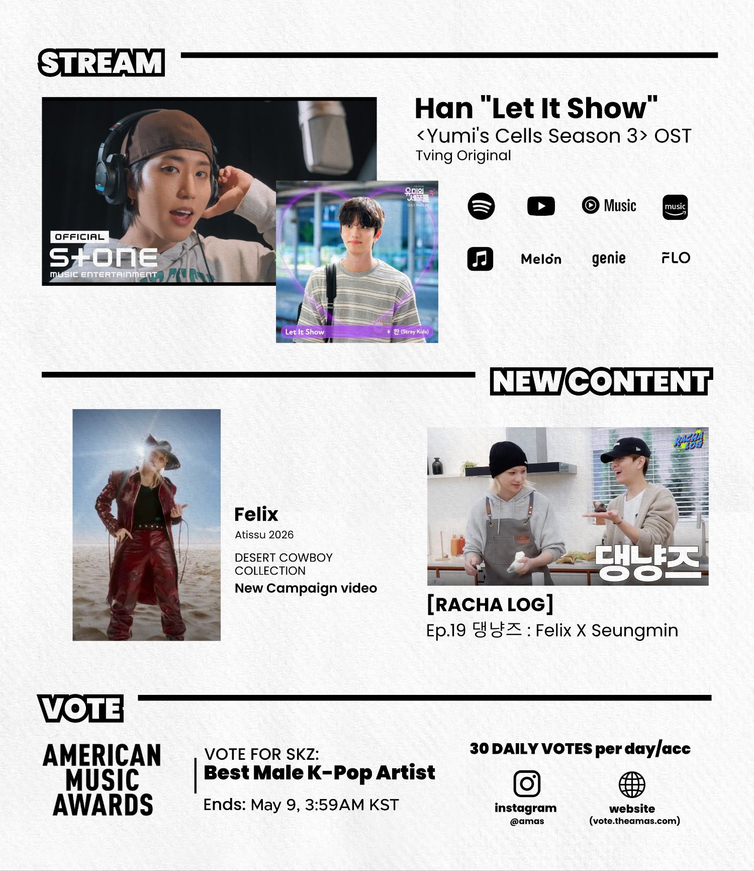 Stray Kids 팬이 찍은 순간