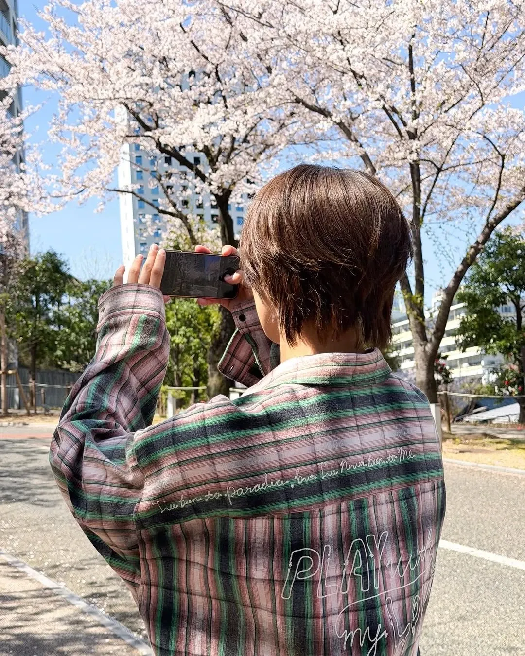 K (&TEAM)的最新照片