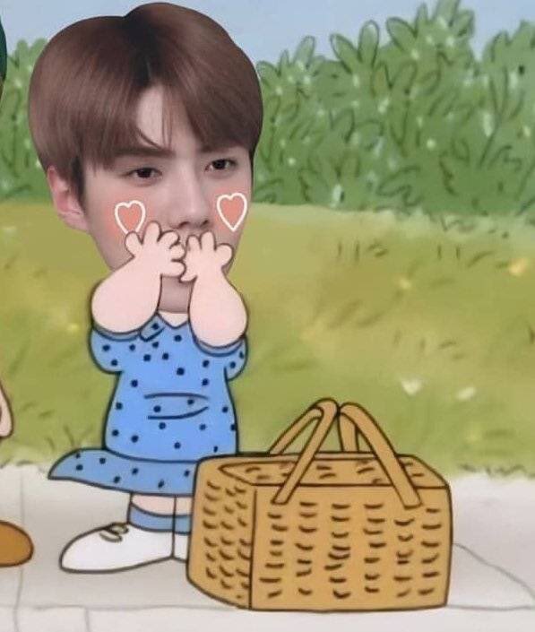 A moment captured by EXO's fan