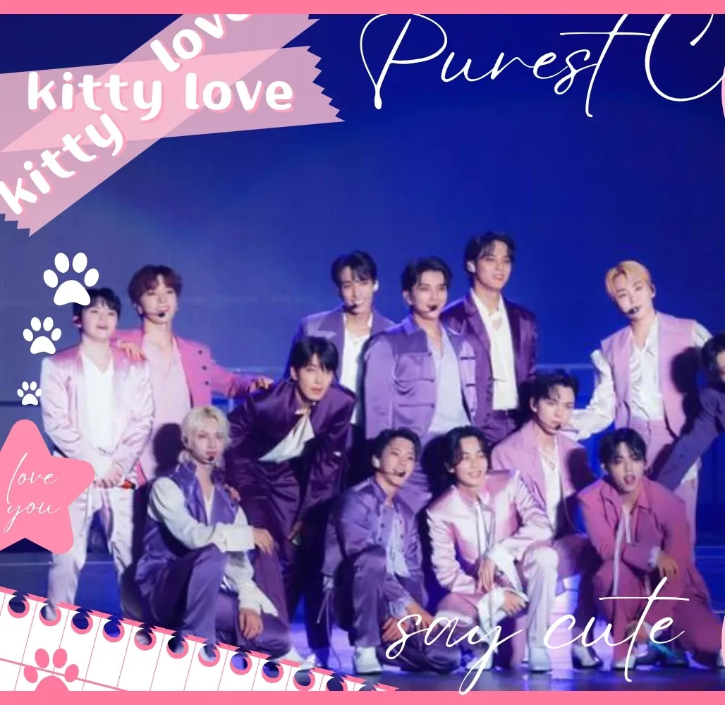 SEVENTEEN粉絲拍下的瞬間