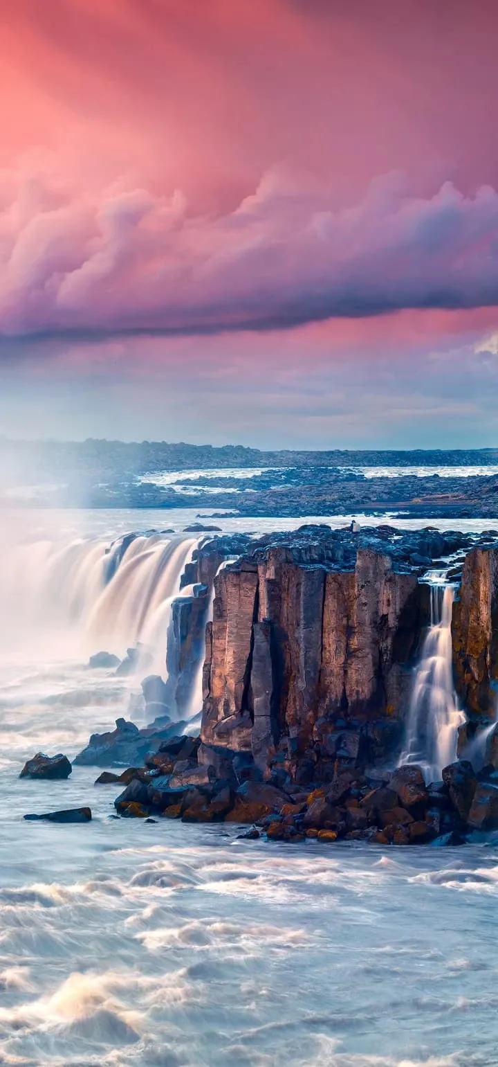 Foto aktivitas terbaru Lisa (BLACKPINK)