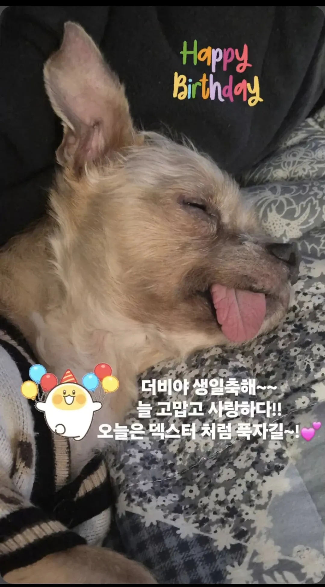 Today's most popular wallpaper in the THE BOYZ community