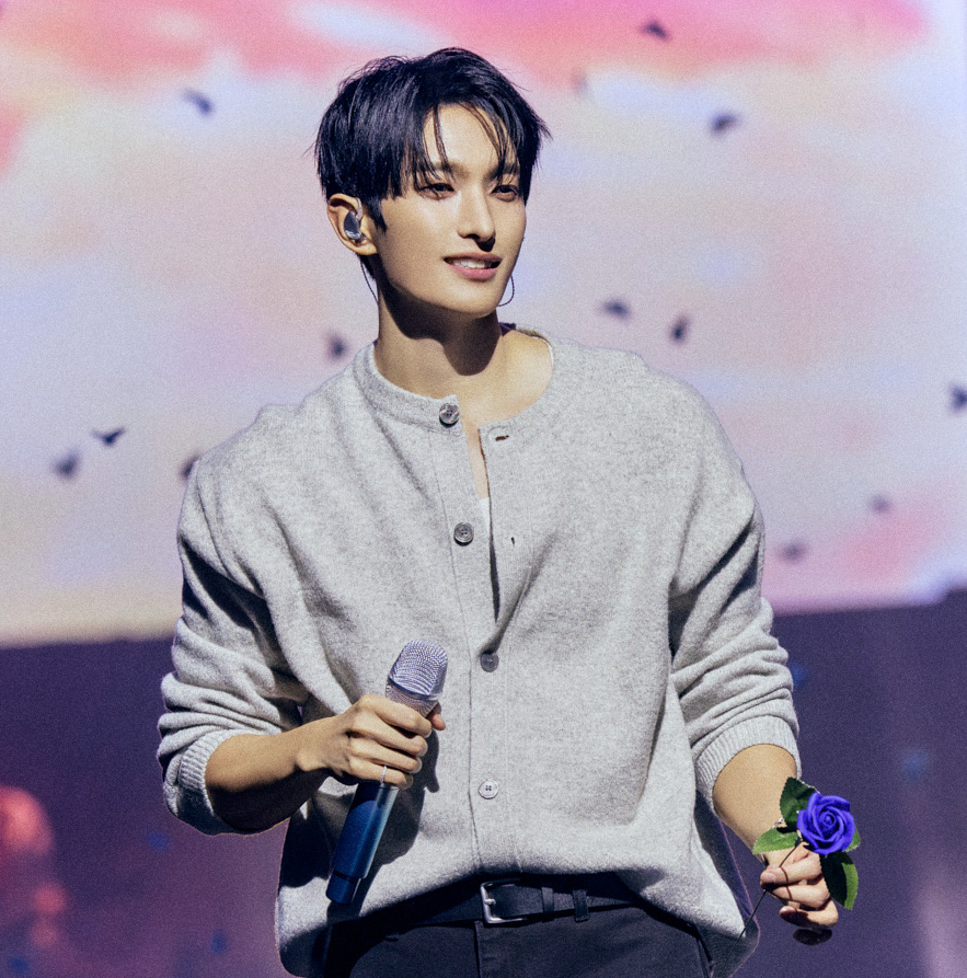 A moment captured by DK (SEVENTEEN)'s fan