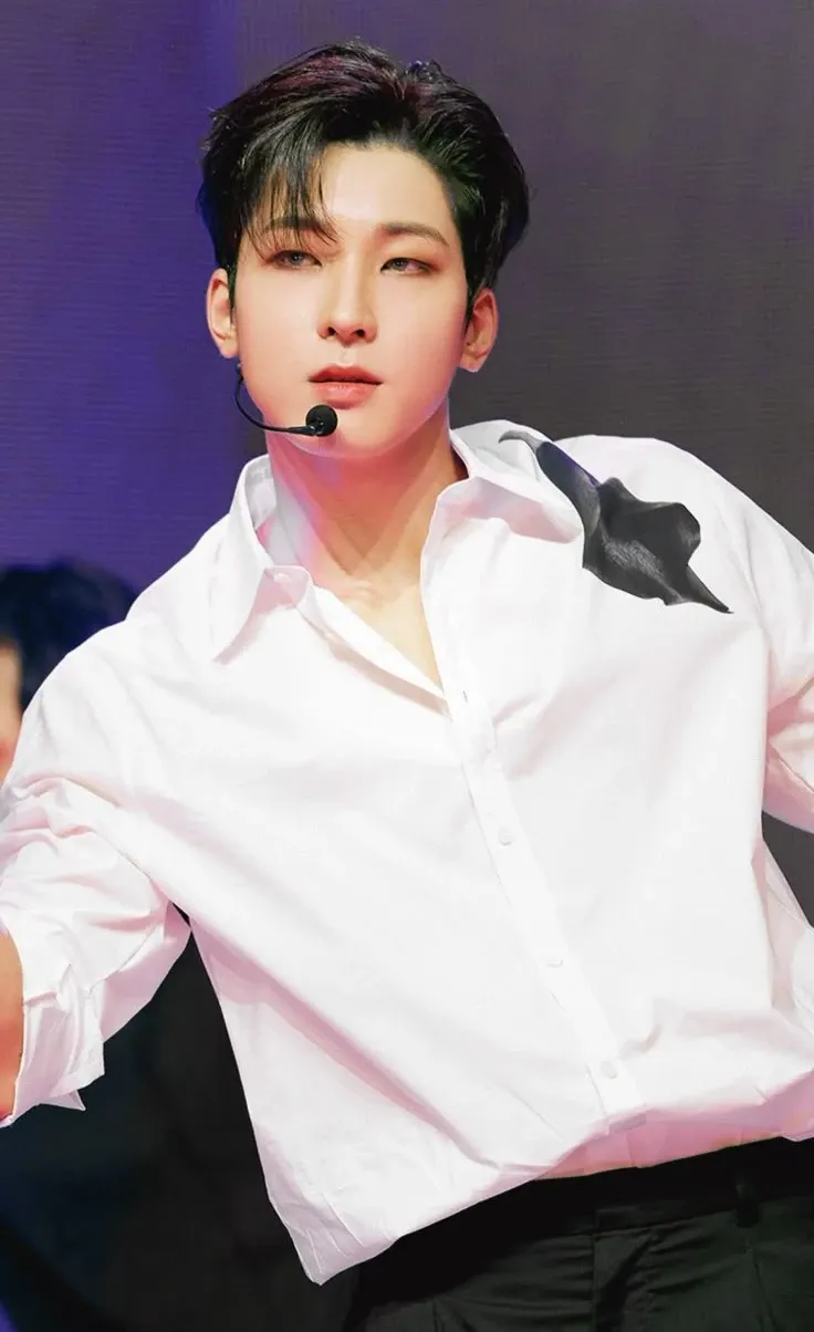 A moment captured by Wonwoo (SEVENTEEN)'s fan