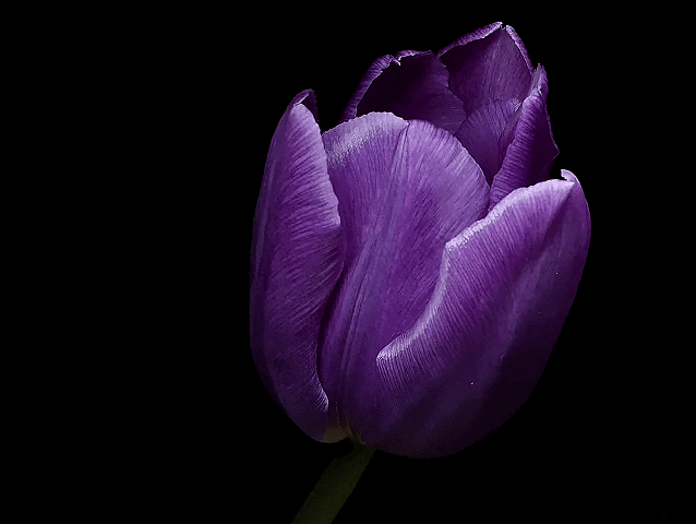 community_articles_contents