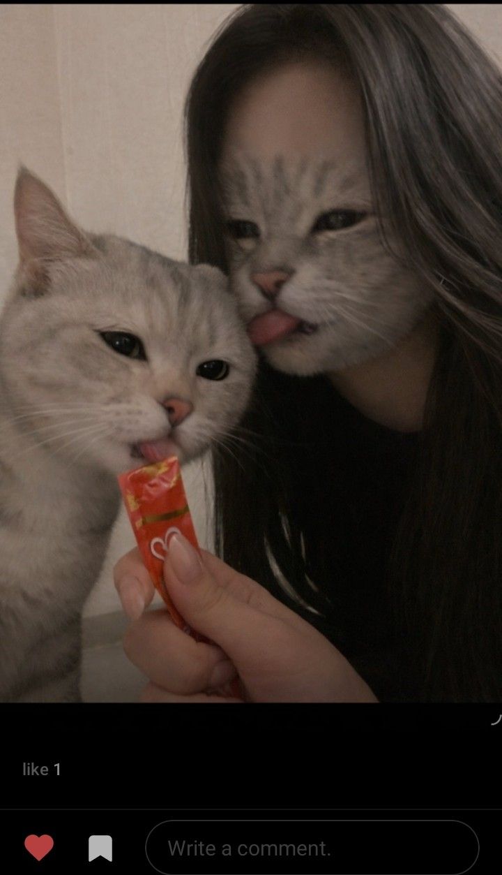 Boardの最新写真