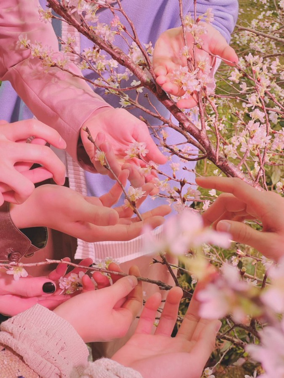 A moment captured by &TEAM's fan