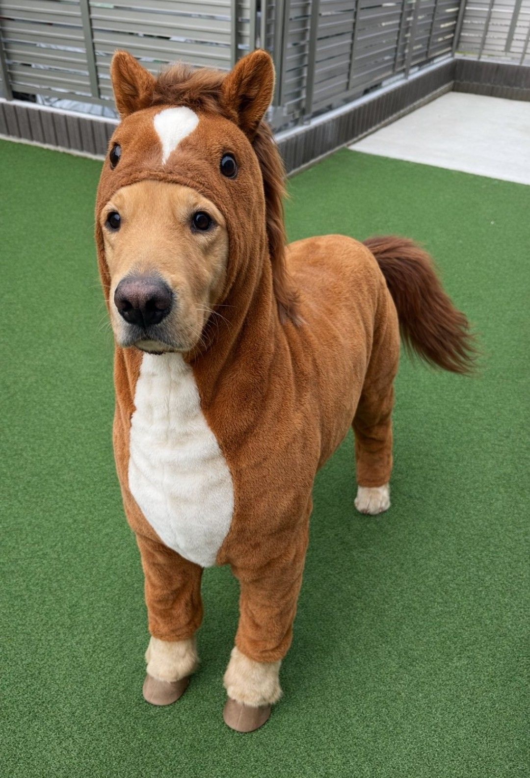 Recent activity shot of Jinjin (ASTRO)