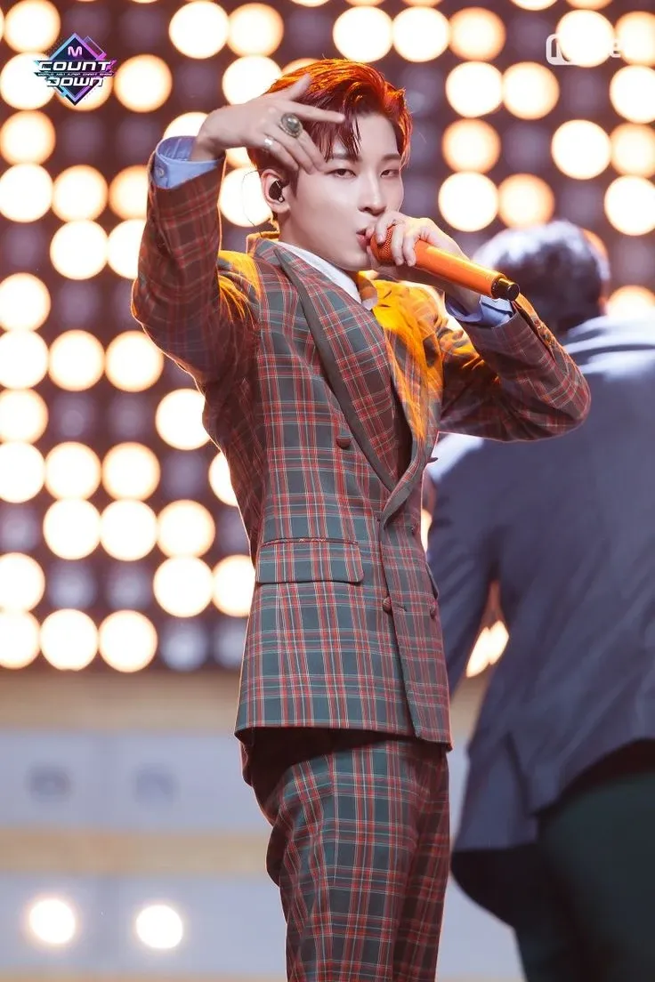 원우 (세븐틴) 팬이 찍은 순간