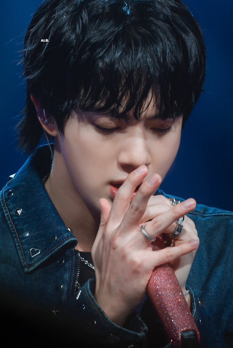 A moment captured by Jin (BTS)'s fan