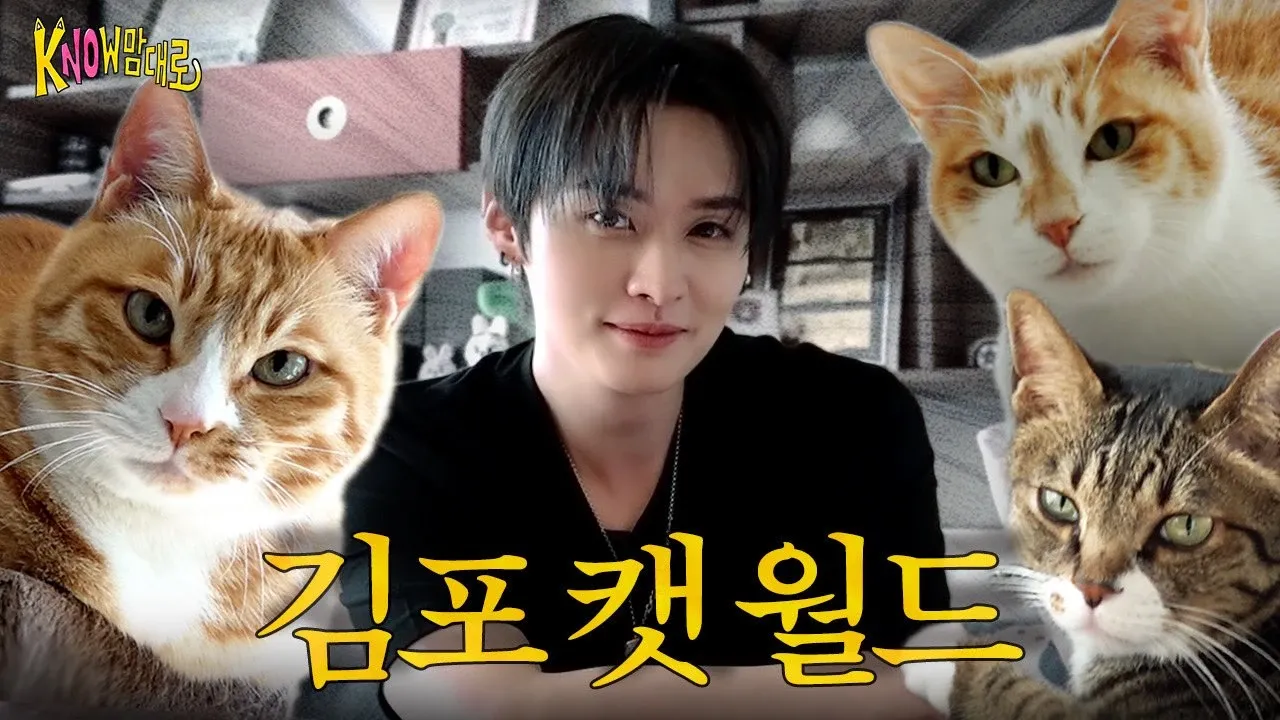 Lee Know (Stray Kids)的最新活動照片