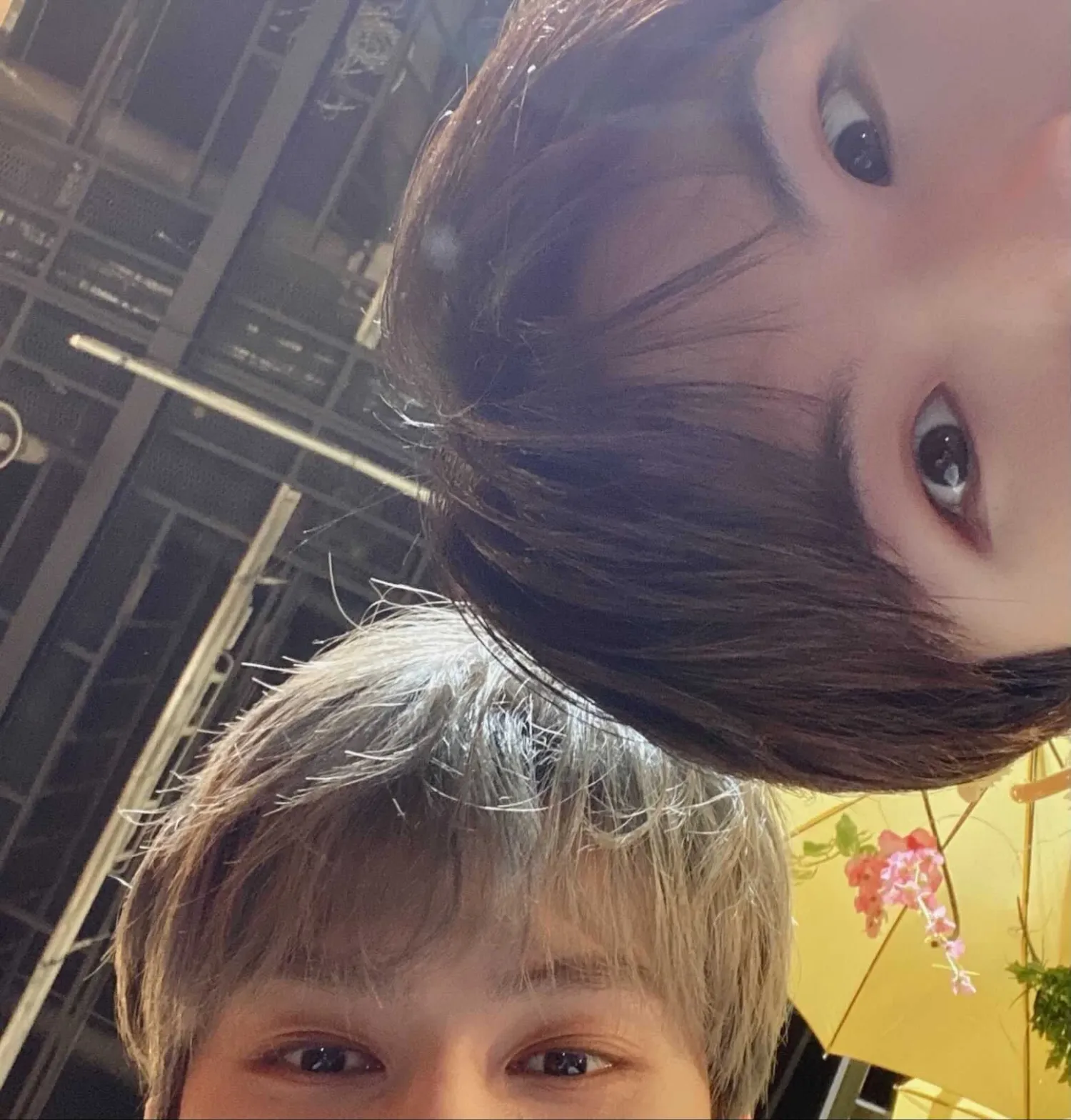 Foto terbaru SEVENTEEN