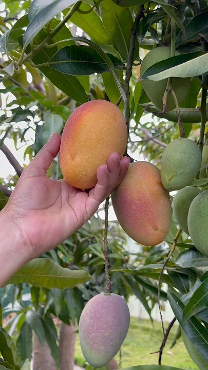 Today's most popular wallpaper in the Eunwoo (ASTRO) community