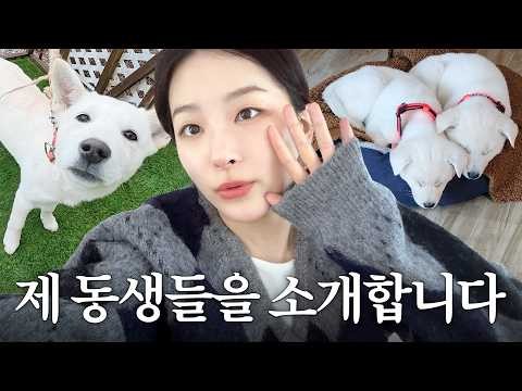 Momen yang diabadikan oleh penggemar Seulgi (Red Velvet)