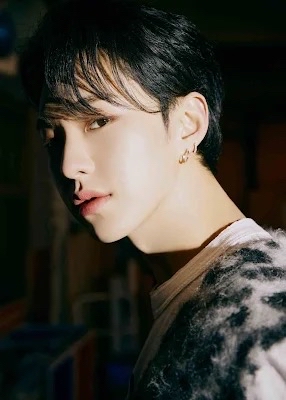 A moment captured by Hoshi (SEVENTEEN)'s fan