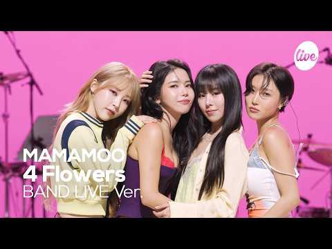 MAMAMOO粉丝拍下的瞬间