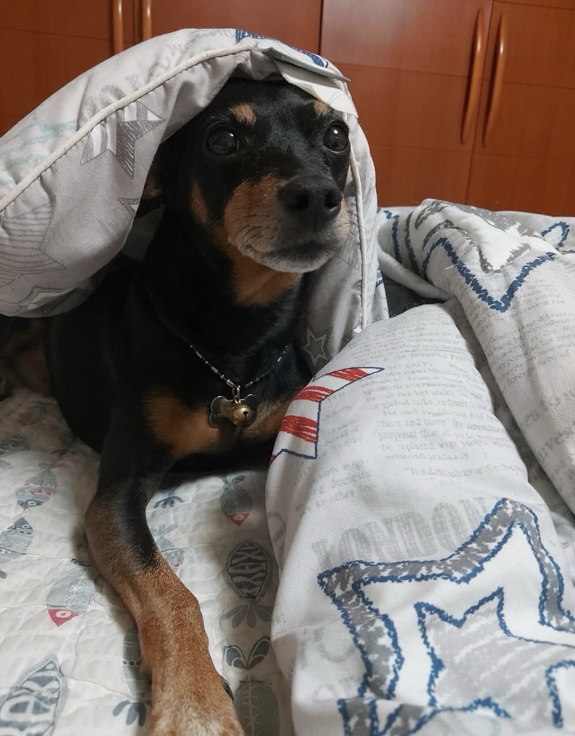 Behind-the-scenes cut of Xiao (UP10TION)