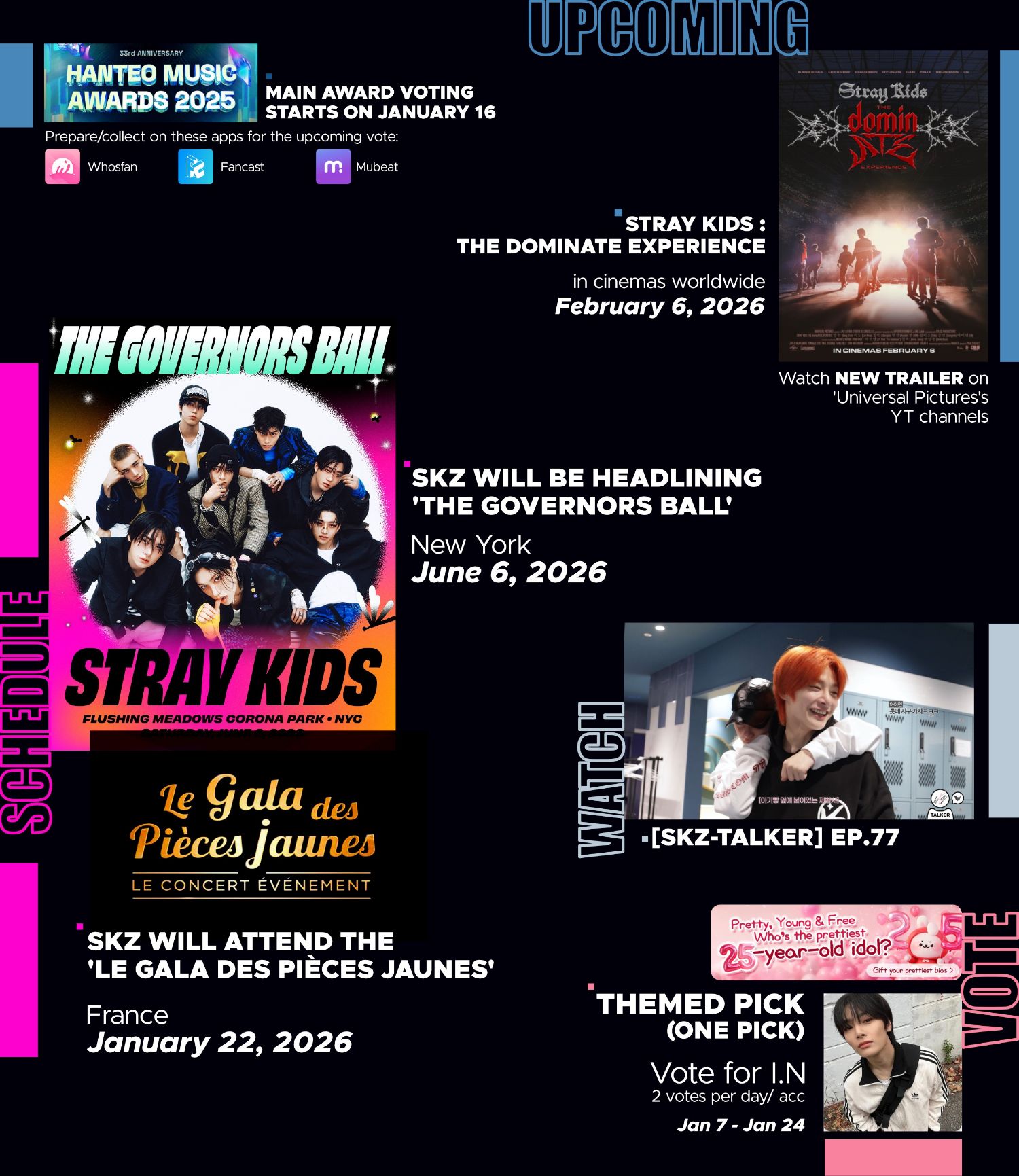 Stray Kids 팬이 찍은 순간