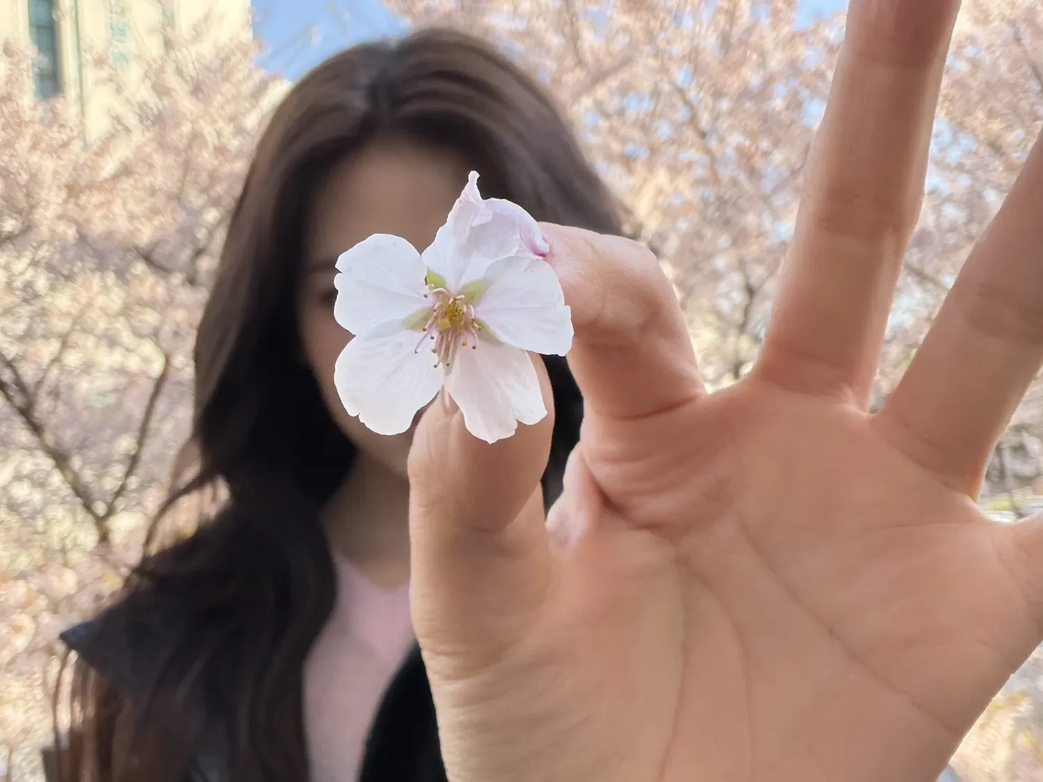 안유진 (IVE)의 비하인드 컷