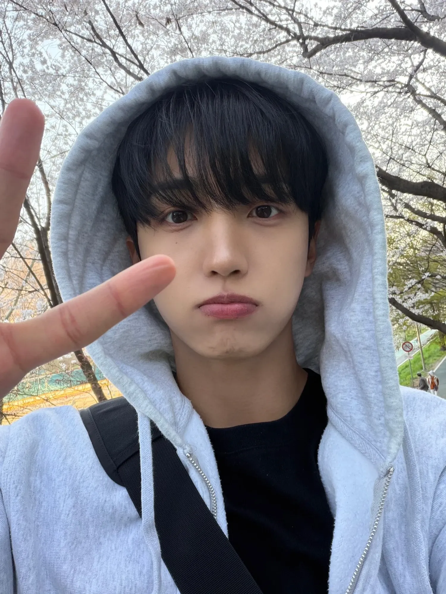 Latest photo of UP10TION