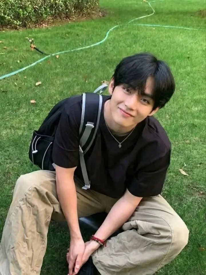 뷔 (방탄소년단) 팬이 찍은 순간