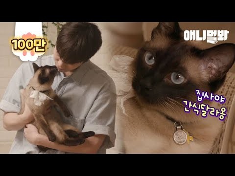 Recent activity shot of Moonbin (ASTRO)