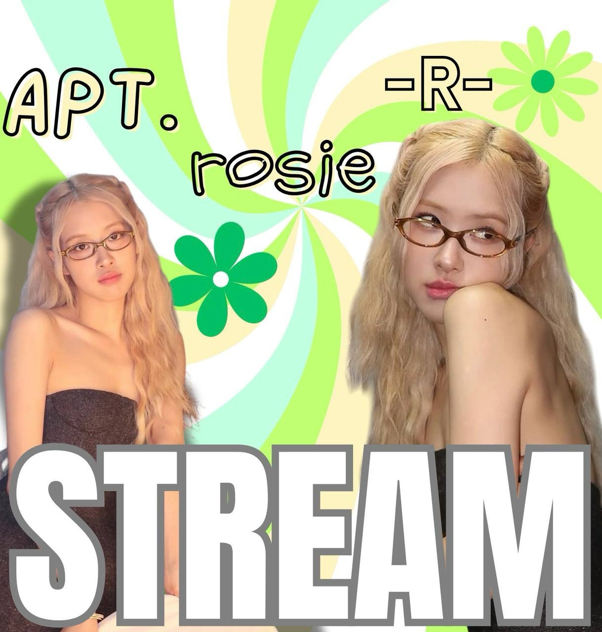 로제 (BLACKPINK) 팬이 찍은 순간