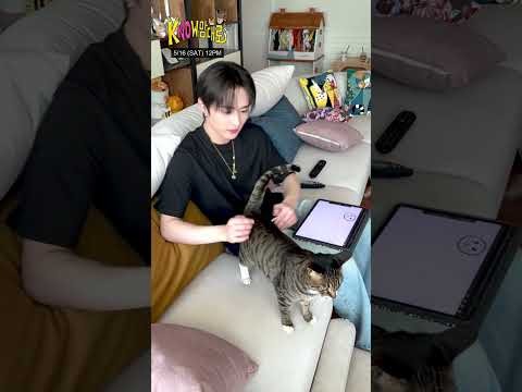 Stray Kids 팬이 찍은 순간